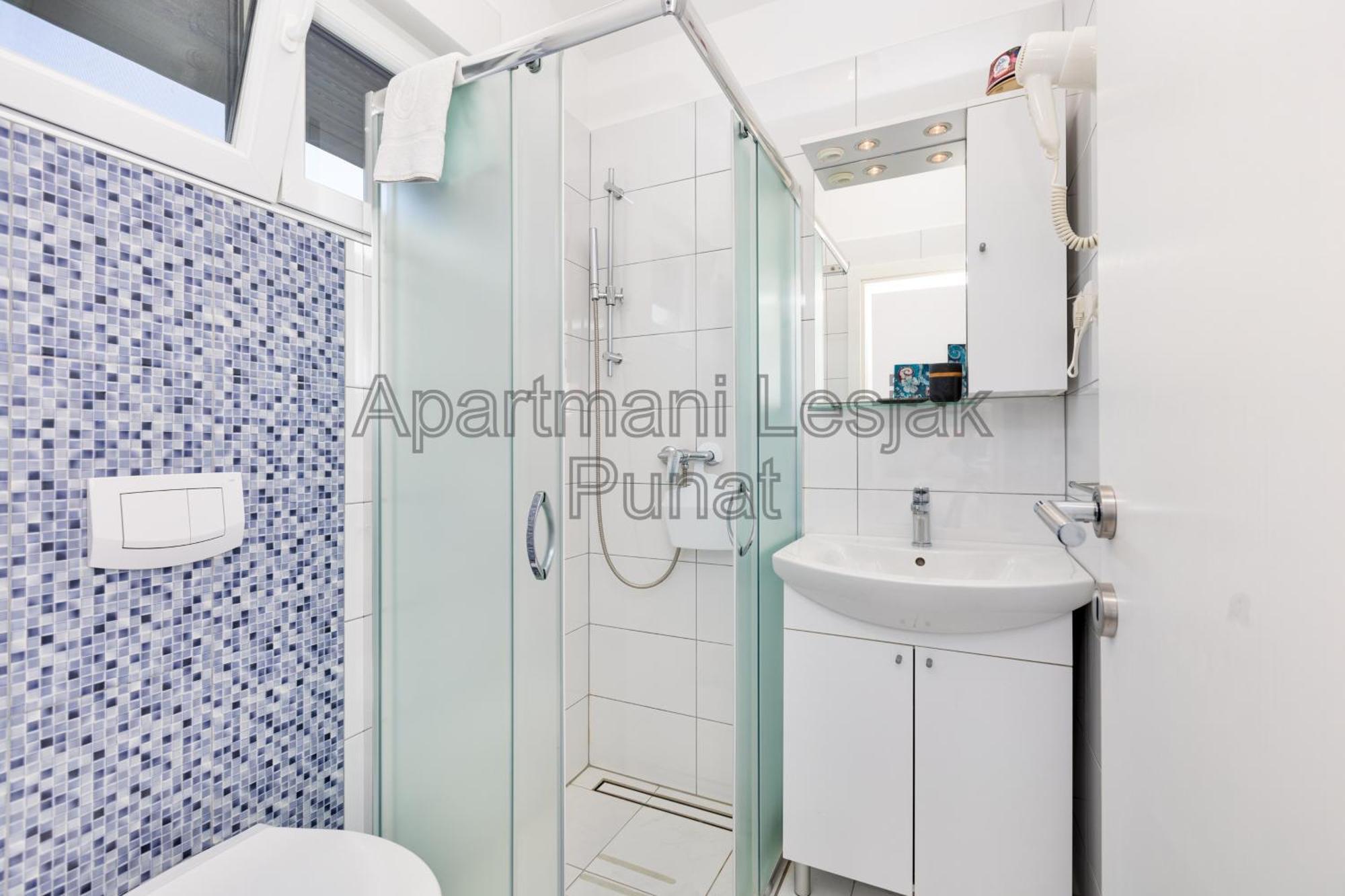 פונאנט Apartmani Lesjak מראה חיצוני תמונה